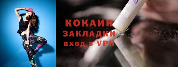 крисы Алексин