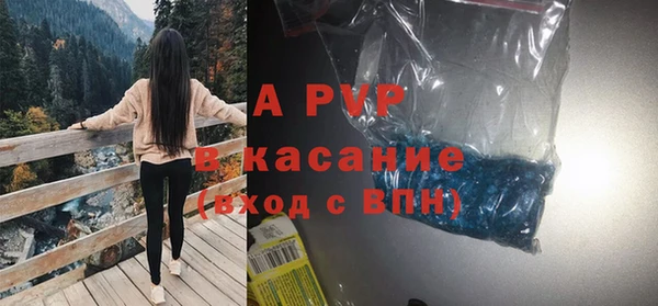 крисы Алексин