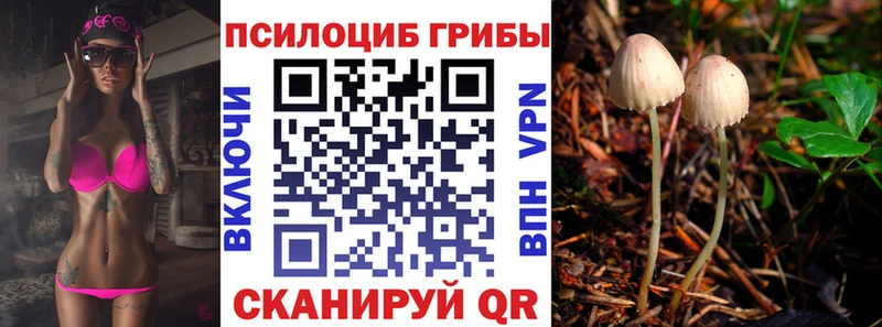 Галлюциногенные грибы Cubensis  Нижний Тагил 